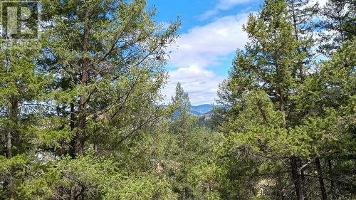 640 Highway 3 Unit# 1, Princeton, BC 