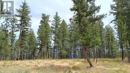 640 Highway 3 Unit# 1, Princeton, BC 