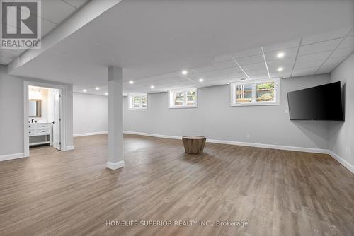 580 Indian Point Road, Kawartha Lakes, ON - Indoor Photo Showing Basement