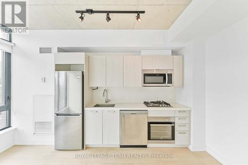 306 - 203 Catherine Street, Ottawa, ON - Indoor Photo Showing Kitchen