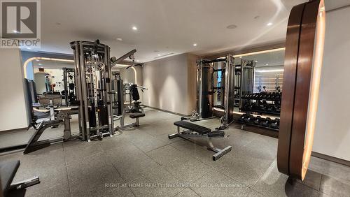 Lph19 - 1100 Sheppard Avenue W, Toronto, ON - Indoor Photo Showing Gym Room