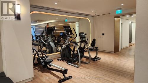 Lph19 - 1100 Sheppard Avenue W, Toronto, ON - Indoor Photo Showing Gym Room