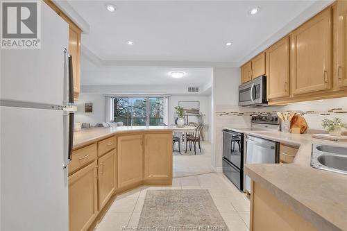 310 Village Grove Unit# 210B, Tecumseh, ON - Indoor Photo Showing Kitchen With Double Sink