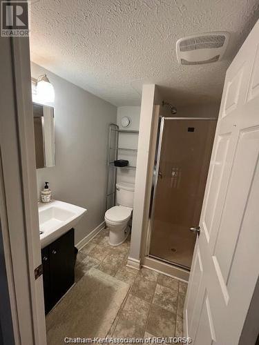 13107 Beechwood Line, Ridgetown, ON - Indoor Photo Showing Bathroom