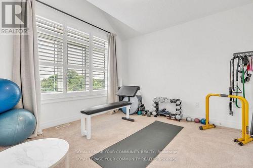 33 Prairie  Grass Crescent, East Gwillimbury, ON - Indoor Photo Showing Gym Room