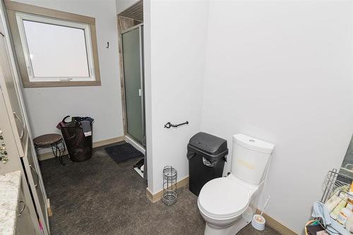 31051 31 Road W, Dufferin, MB - Indoor Photo Showing Bathroom