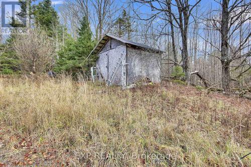 370 Darling, Concession 10 Road, Lanark Highlands, ON - Outdoor