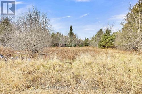 370 Darling, Concession 10 Road, Lanark Highlands, ON - Outdoor With View