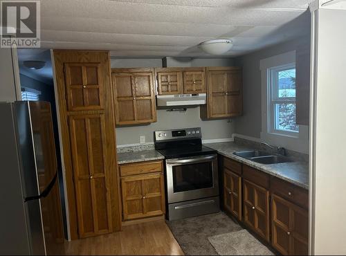 21 5125 North Nechako Road, Prince George, BC - Indoor Photo Showing Kitchen With Double Sink