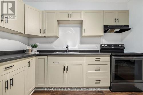 604 - 1380 Prince Of Wales Drive, Ottawa, ON - Indoor Photo Showing Kitchen With Double Sink