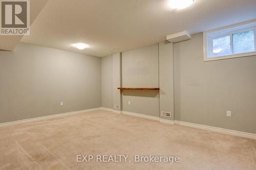 60 - 535 Margaret Street, Cambridge, ON - Indoor Photo Showing Basement