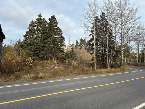 42 Conception Bay Highway, Conception Hr., NL 