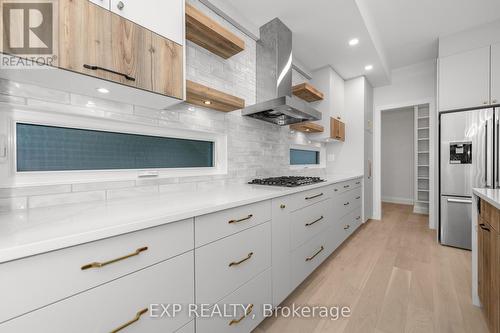 A - 533 Broadhead Avenue, Ottawa, ON - Indoor Photo Showing Kitchen With Upgraded Kitchen