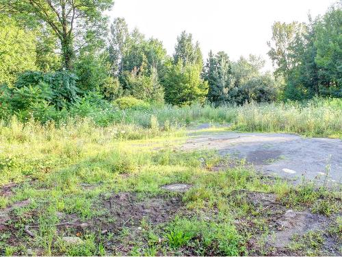 Terre/Terrain - Rue Leroux, Sainte-Sophie, QC 