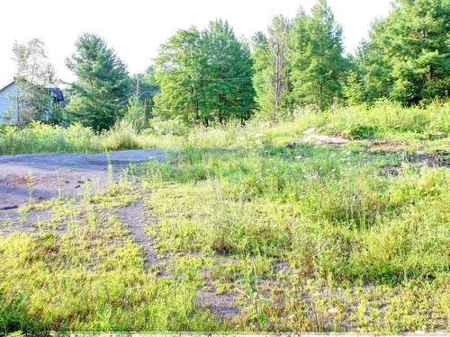 Terre/Terrain - Rue Leroux, Sainte-Sophie, QC 