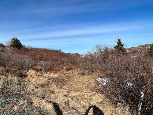 0 Main Road, Port De Grave, NL 