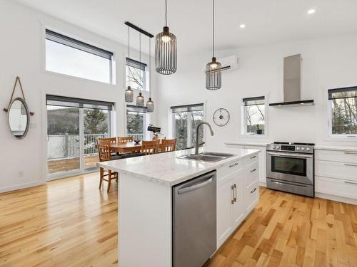 Cuisine - 3 Ch. Des Bouleaux, Blue Sea, QC - Indoor Photo Showing Kitchen With Double Sink With Upgraded Kitchen