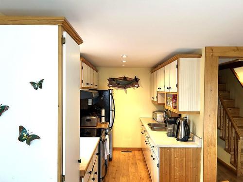 Kitchen - 33 Ch. Larochelle, Saint-Claude, QC - Indoor Photo Showing Kitchen With Double Sink