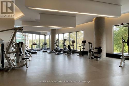 618 - 160 Vanderhoof Avenue, Toronto, ON - Indoor Photo Showing Gym Room