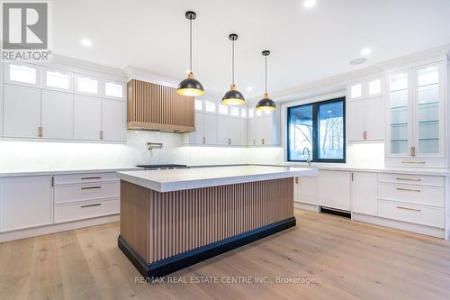 256 Mountain Road, Grimsby, ON - Indoor Photo Showing Kitchen With Upgraded Kitchen