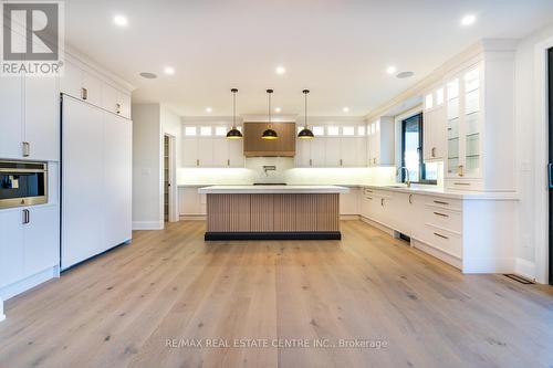 256 Mountain Road, Grimsby, ON - Indoor Photo Showing Kitchen With Upgraded Kitchen