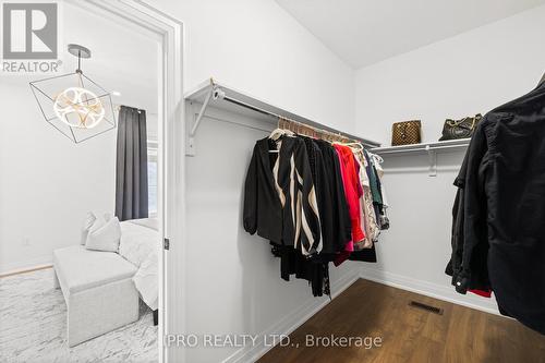 5 Cattail Crescent, Hamilton, ON - Indoor With Storage