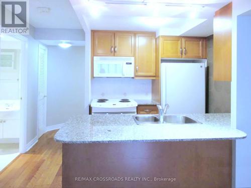 711 - 100 Hayden Street, Toronto, ON - Indoor Photo Showing Kitchen With Double Sink