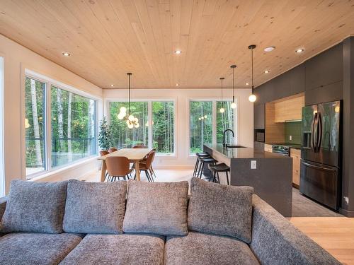 Vue d'ensemble - Rue Gilles, Saint-Côme, QC - Indoor Photo Showing Living Room