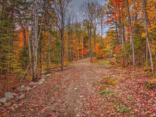 Vue - Rue Gilles, Saint-Côme, QC - Outdoor With View