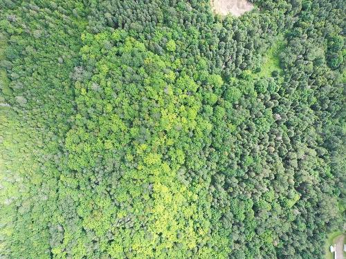 Aerial photo - Route 204, Saint-Aubert, QC 