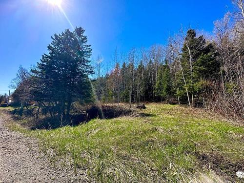 Land/Lot - Route 204, Saint-Aubert, QC 