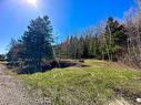 Land/Lot - Route 204, Saint-Aubert, QC 