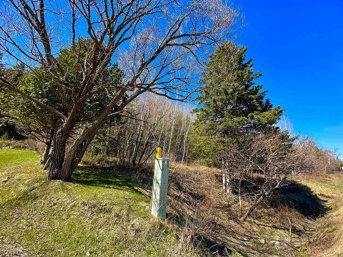 Terre/Terrain - Route 204, Saint-Aubert, QC 