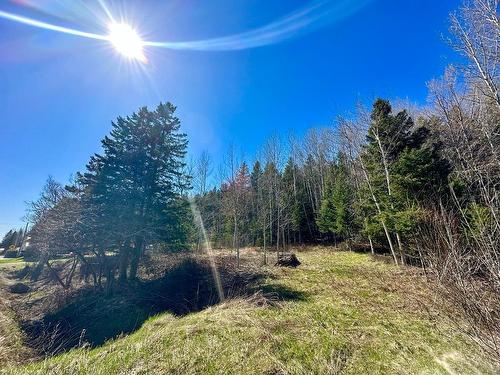 Land/Lot - Route 204, Saint-Aubert, QC 