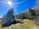 Land/Lot - Route 204, Saint-Aubert, QC 