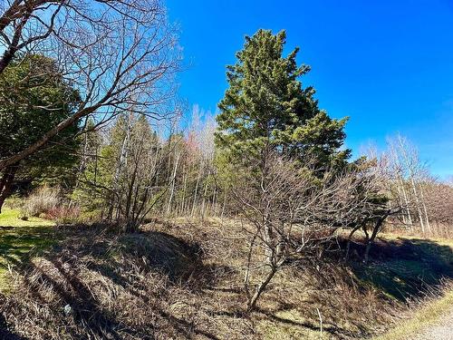 Land/Lot - Route 204, Saint-Aubert, QC 