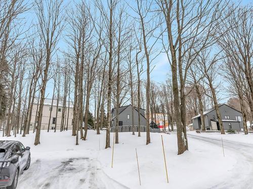 View - 161  - C Rue Montcalm, Bromont, QC - Outdoor