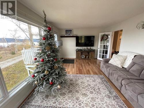 30 Park Drive, Benoit'S Cove, NL - Indoor Photo Showing Living Room