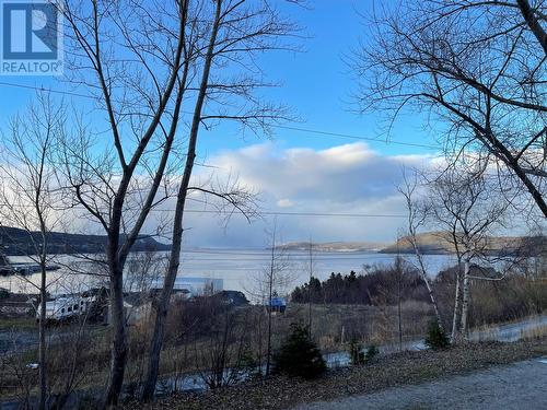 30 Park Drive, Benoit'S Cove, NL - Outdoor With View