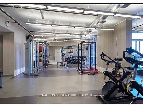 212-20 Bruyeres Mews, Toronto, ON - Indoor Photo Showing Gym Room