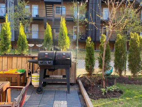 Backyard - 1912  - 1914 Rue De Cadillac, Montréal (Mercier/Hochelaga-Maisonneuve), QC - Outdoor