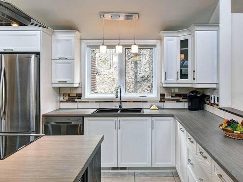 Kitchen - 133 Rue St-Jean, Mont-Tremblant, QC - Indoor Photo Showing Kitchen With Double Sink