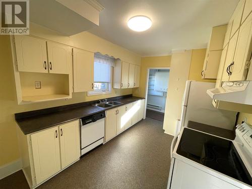 18 Junction Road, Grand Falls-Windsor, NL - Indoor Photo Showing Kitchen With Double Sink