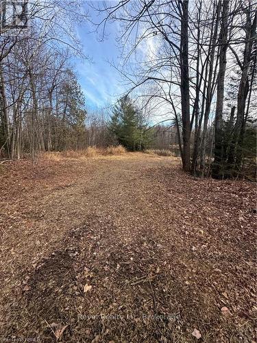 View of yard - 3877 Highway 17 E, Mattawa, ON - Outdoor With View