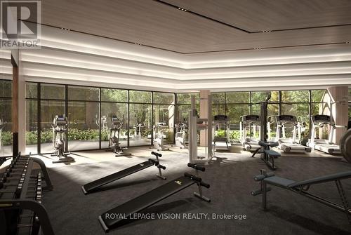 2501 Saw Whet Boulevard, Oakville, ON - Indoor Photo Showing Gym Room