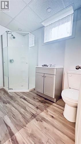 70 Main Street, Springdale, NL - Indoor Photo Showing Bathroom