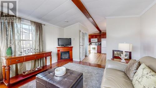 6 Fogwill Place, St. John'S, NL - Indoor Photo Showing Living Room With Fireplace