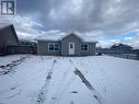 20 Tompkins Avenue, Stephenville, NL  - Outdoor 