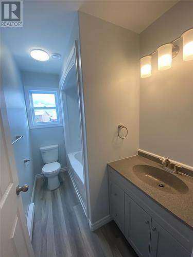 20 Tompkins Avenue, Stephenville, NL - Indoor Photo Showing Bathroom