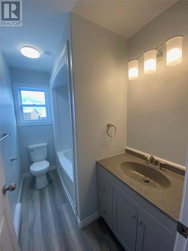 20 Tompkins Avenue, Stephenville, NL - Indoor Photo Showing Bathroom